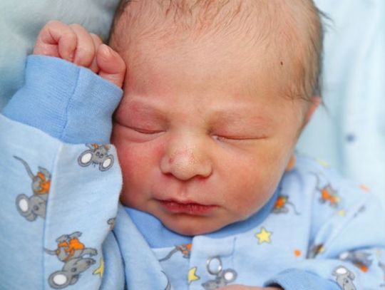 Najmłodsi radomianie - zdjęcia dzieci ur. 9 lutego