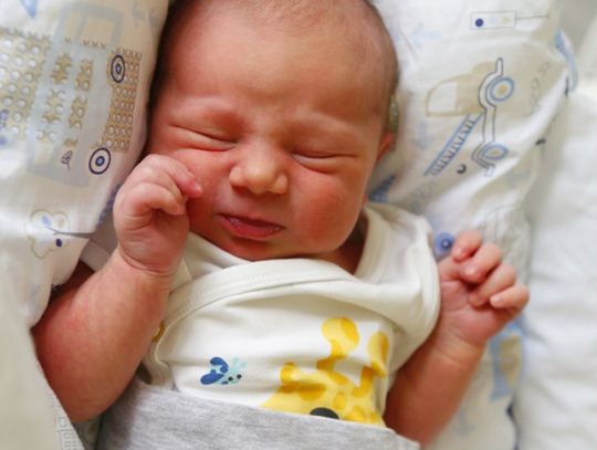 Najmłodsi radomianie - zdjęcia dzieci ur. 9 lutego