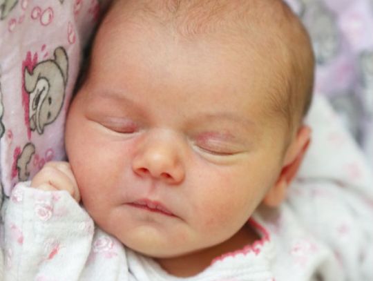 Najmłodsi radomianie - zdjęcia dzieci ur. 12 lutego