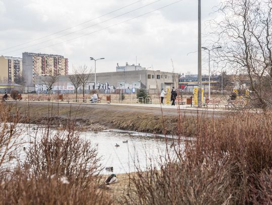 Pierwsze ciepłe dni marca Pierwsze ciepłe dni marca