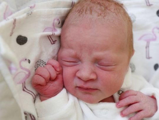 Najmłodsi radomianie - zdjęcia dzieci ur. 2 marca