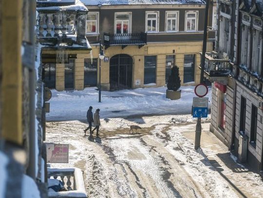 Słoneczna niedziela w Radomiu i okolicach