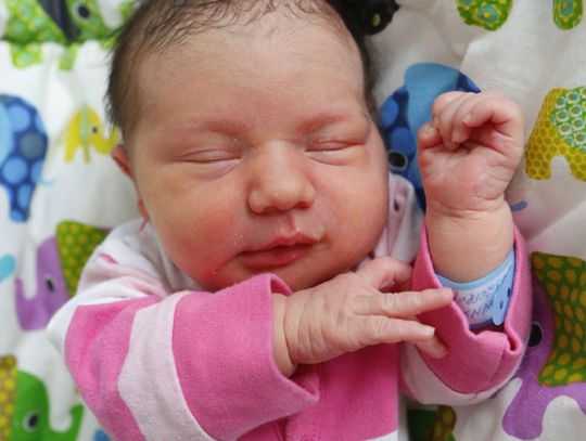 Najmłodsi radomianie - zdjęcia dzieci ur. 16 marca