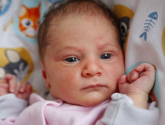 Najmłodsi radomianie - zdjęcia dzieci ur. 16 marca