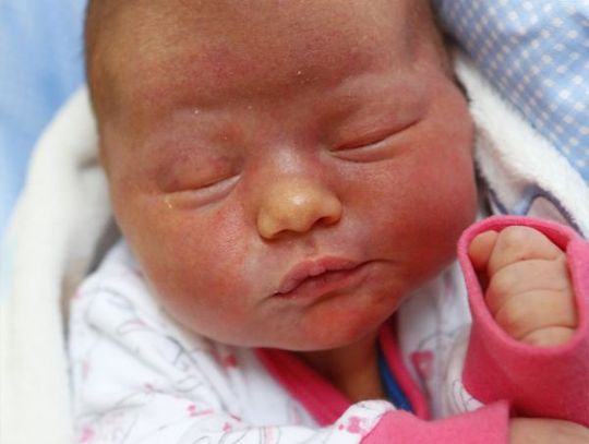 Najmłodsi radomianie - zdjęcia dzieci ur. 16 marca