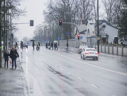 Ukwiecony cmentarz przy ul. Limanowskiego