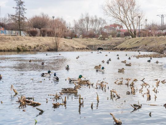 Najciekawsze zdjęcia marca