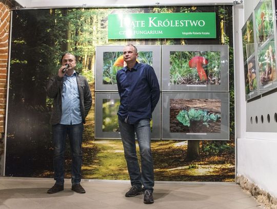 "Piąte królestwo, czyli Fungarium" - wystawa w muzeum