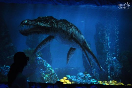 10 miejsc, które warto odwiedzić w weekend 10 miejsc, które warto odwiedzić w weekend