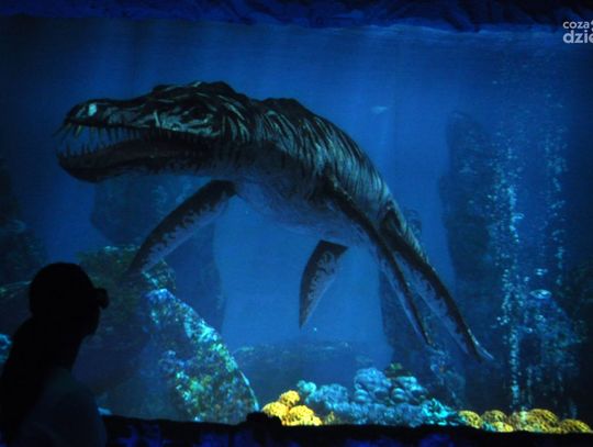 10 miejsc, które warto odwiedzić w weekend