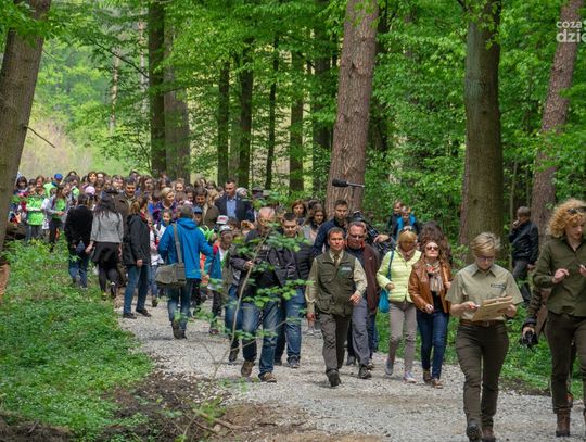 Agata Kornhauser-Duda wraz z leśnikami, przedstawicielami lokalnych służb i uczniami lokalnych szkół wzięła udział w Święcie Lasu. Agata Kornhauser-Duda wraz z leśnikami, przedstawicielami lokalnych służb i uczniami lokalnych szkół wzięła udział w Święcie Lasu.