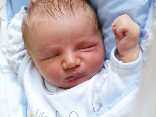 Najmłodsi radomianie - zdjęcia dzieci ur. 11 kwietnia