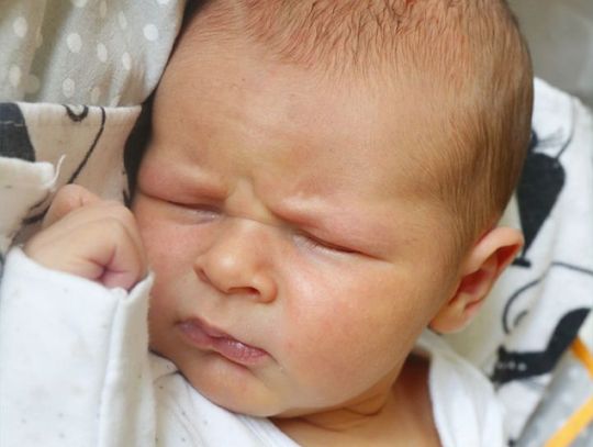 Najmłodsi radomianie - zdjęcia dzieci ur. 11 kwietnia