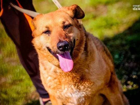 Najciekawsze zdjęcia kwietnia