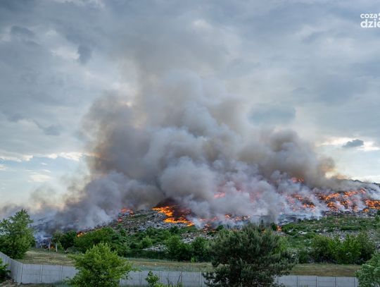 Weekend w obiektywie