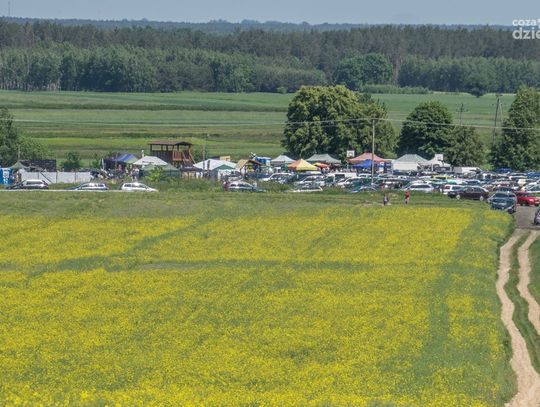 XXXVIII Radomska Krajowa Wystawa Psów Rasowych 