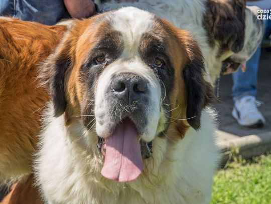 Weekend w obiektywie