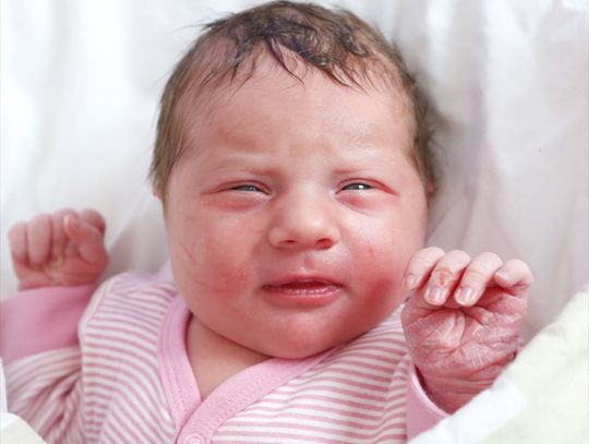 Najmłodsi radomianie - zdjęcia dzieci ur. 11 maja