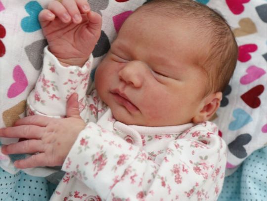 Najmłodsi radomianie - zdjęcia dzieci ur. 11 maja