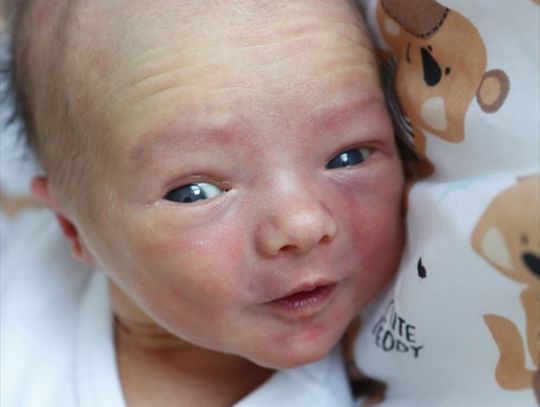 Najmłodsi radomianie - zdjęcia dzieci ur. 11 maja