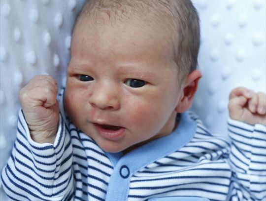 Najmłodsi radomianie - zdjęcia dzieci ur. 11 maja