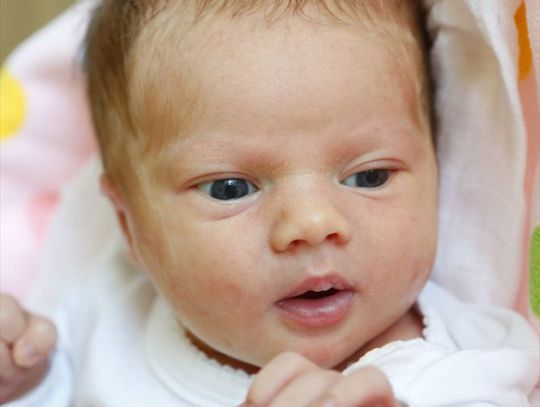 Najmłodsi radomianie - zdjęcia dzieci ur. 11 maja