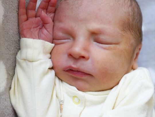 Najmłodsi radomianie - zdjęcia dzieci ur. 11 maja