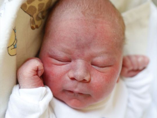 Najmłodsi radomianie - zdjęcia dzieci ur. 11 maja