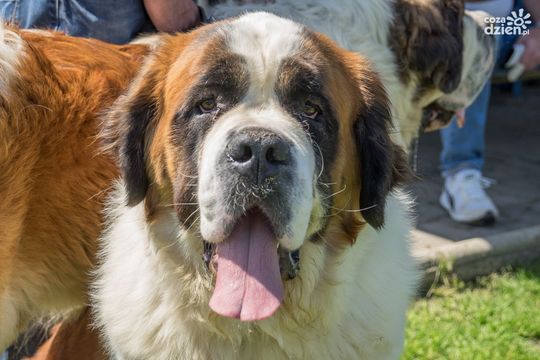 Weekend w obiektywie