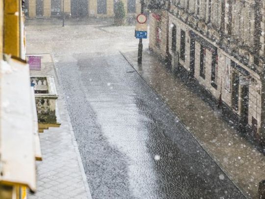 Radom po burzy Radom po burzy