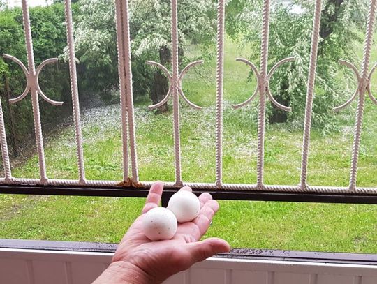 Skutki burzy nad Radomiem zdjęcia czytelników Skutki burzy nad Radomiem zdjęcia czytelników