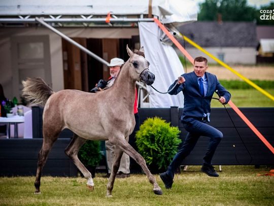Weekend w obiektywie. Zobaczcie, co się działo!