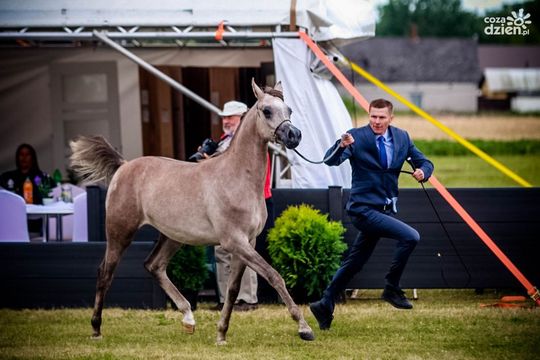 Weekend w obiektywie. Zobaczcie, co się działo!