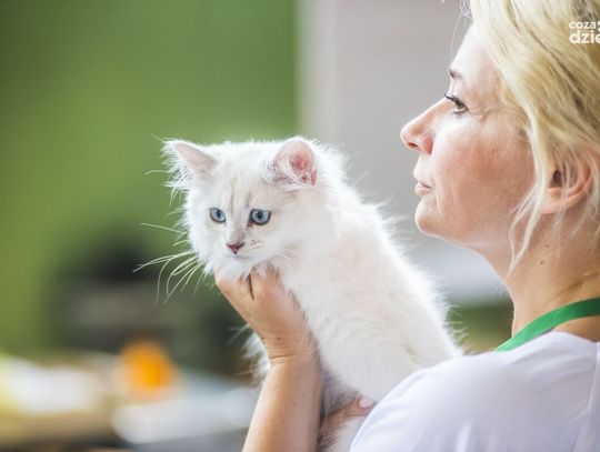 10 najlepszych galerii czerwca! Zobaczcie! 