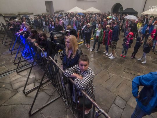 Azyl P. i Przyjaciele w Szydłowcu