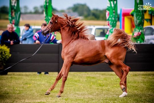 10 najchętniej oglądanych galerii lipca