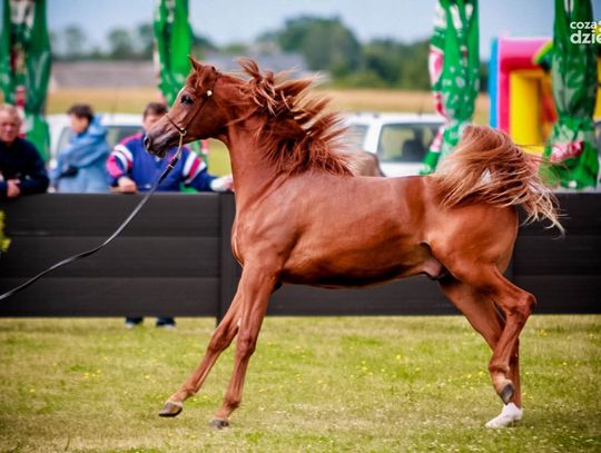 10 najchętniej oglądanych galerii lipca
