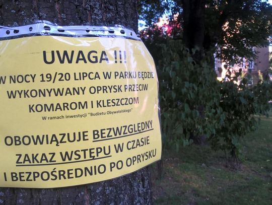 Jak postępuje realizacja projektów z BO