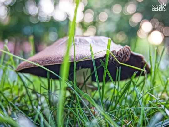 Najciekawsze zdjęcia lipca