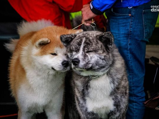 Zobaczcie, co działo się w weekend!