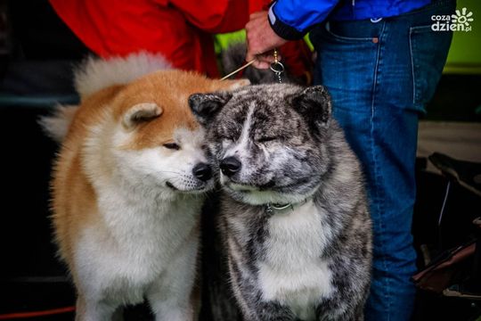 Zobaczcie, co działo się w weekend! Zobaczcie, co działo się w weekend!