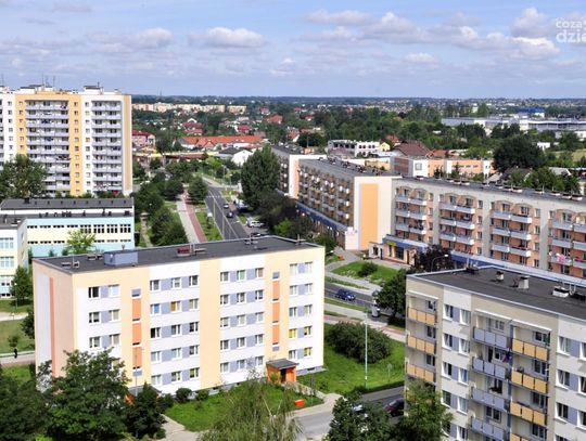 Sprawdziliśmy na kogo można głosować