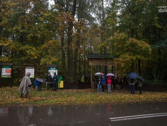 Spacer po Radomiu: Tropem strzyg i upiorów