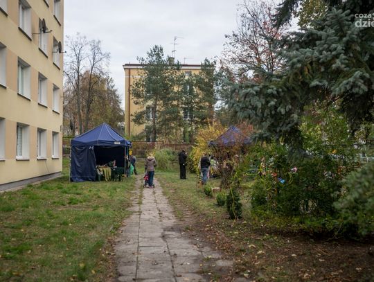 "Nasz Zielony Kącik"- projekt grupy sąsiedzkiej z ulicy Wernera wygrał IV edycją projektu "Zielona Ławeczka"