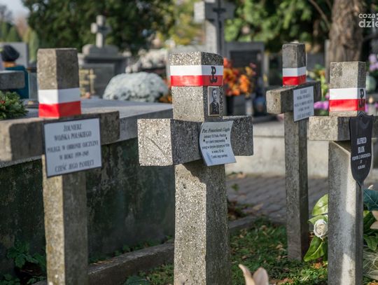 10 najchętniej oglądanych galerii listopada 10 najchętniej oglądanych galerii listopada