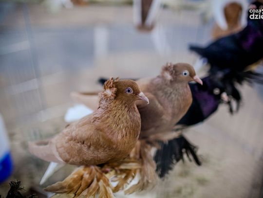 Weekend w obiektywie