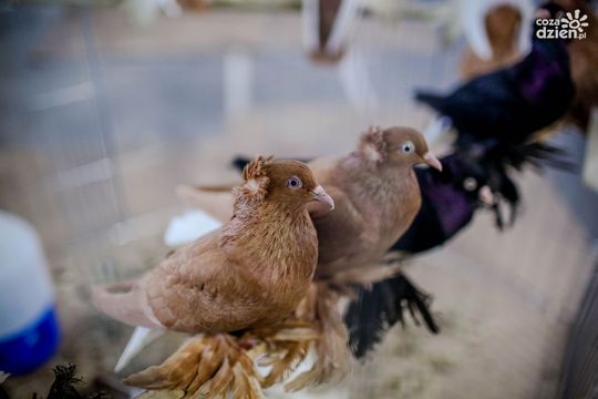 Weekend w obiektywie