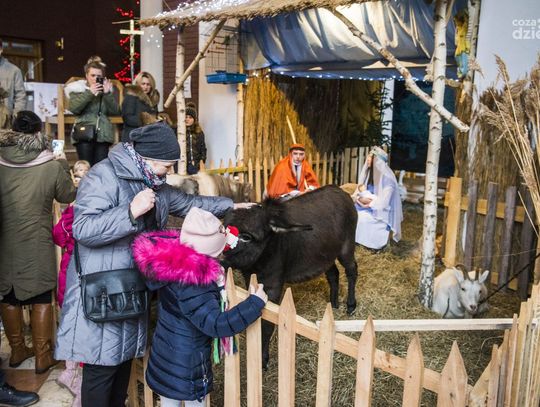 Żywa szopka w kościele św. Łukasza (zdjęcia) Żywa szopka w kościele św. Łukasza (zdjęcia)