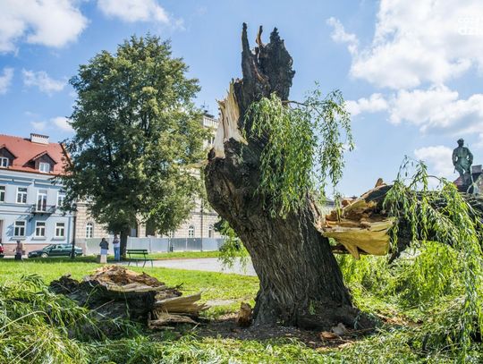 Co wydarzyło się w 2018 roku? Zobacz