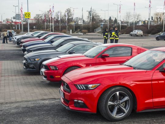 Weekend w obiektywie